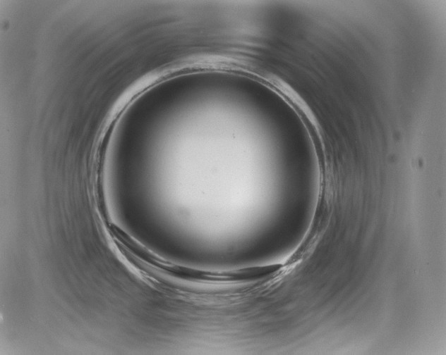X0000082761437200701261436