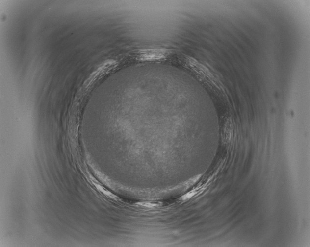 X0000082761441200701261435