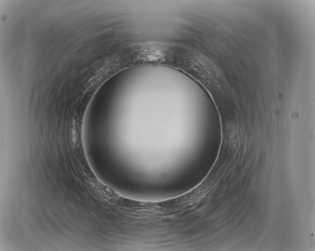 X0000082761442200701261435
