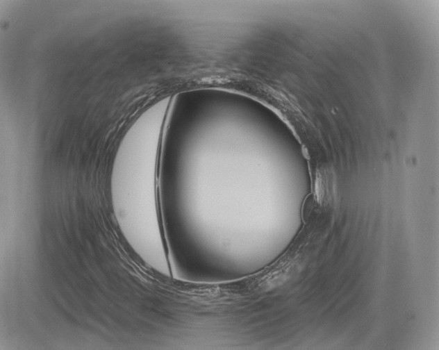 X0000082761444200701261435