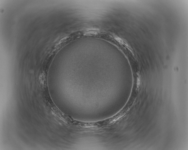 X0000082761445200701261435
