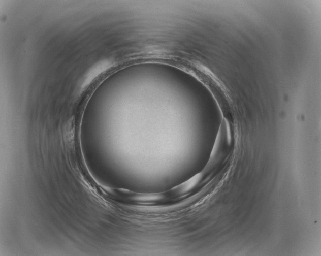 X0000082761450200701261435