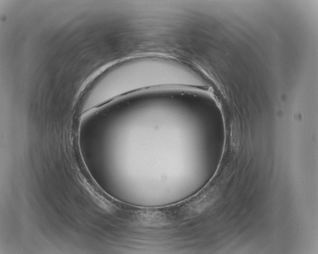 X0000082761452200701261435