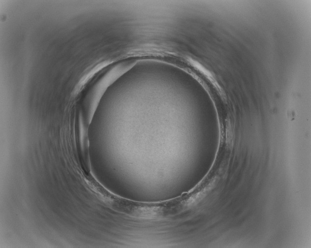 X0000082761453200701261435