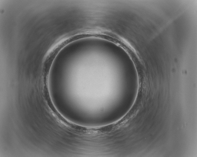 X0000082761456200701261435