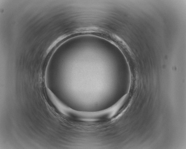 X0000082761457200701261435