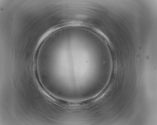 X0000082761467200701261435