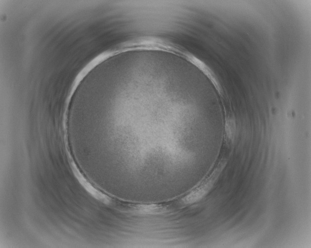 X0000082761482200701261435