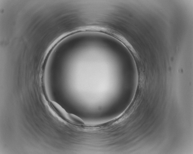 X0000082761484200701261435