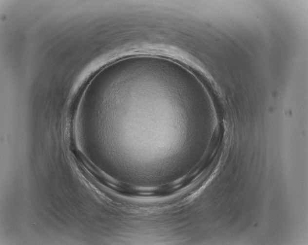 X0000082761506200701261434