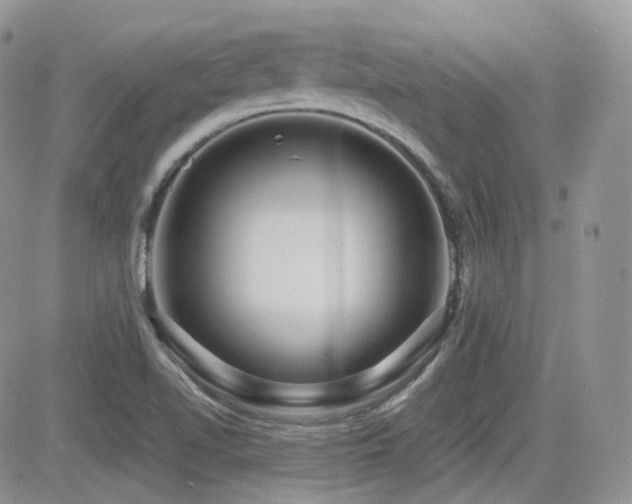 X0000082761510200701261434