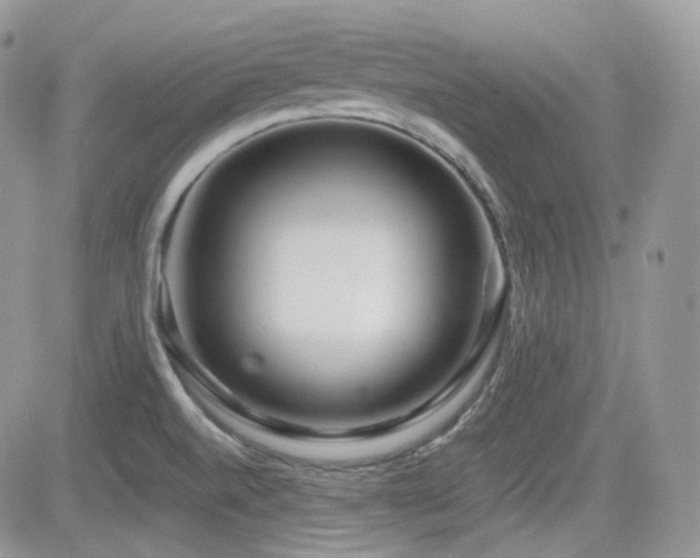 X0000082761520200701261434