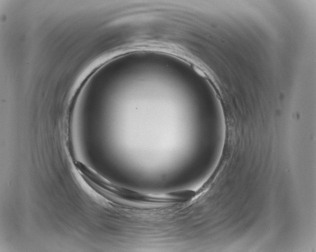 X0000082761531200701261434