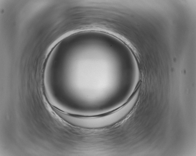 X0000082761534200701261434