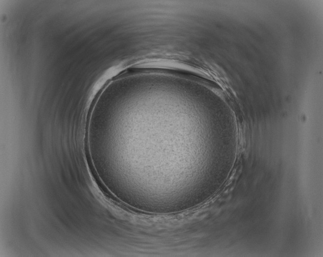 X0000082760003200702021447