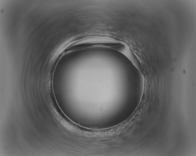 X0000082760005200702021447