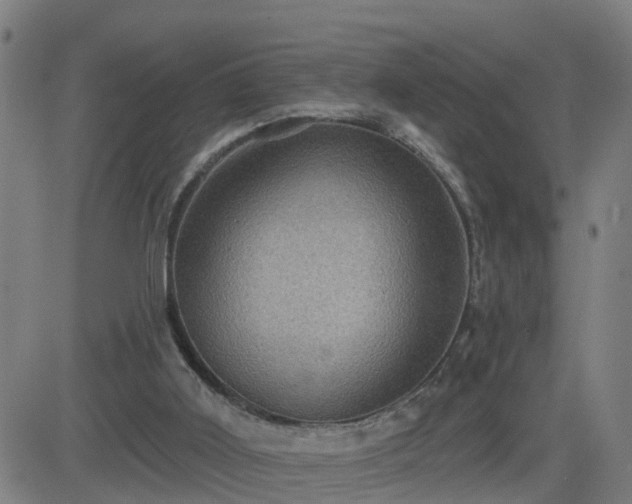 X0000082760011200702021447