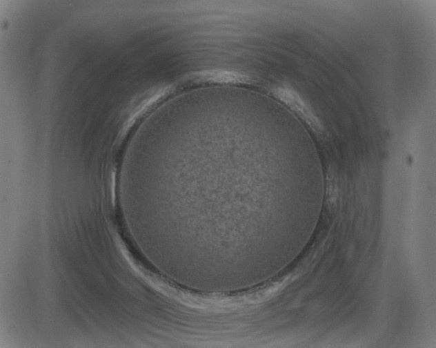 X0000082760014200702021447
