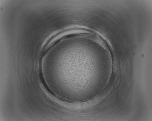 X0000082760015200702021447