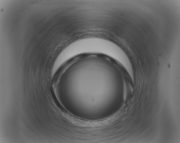 X0000082760031200702021447