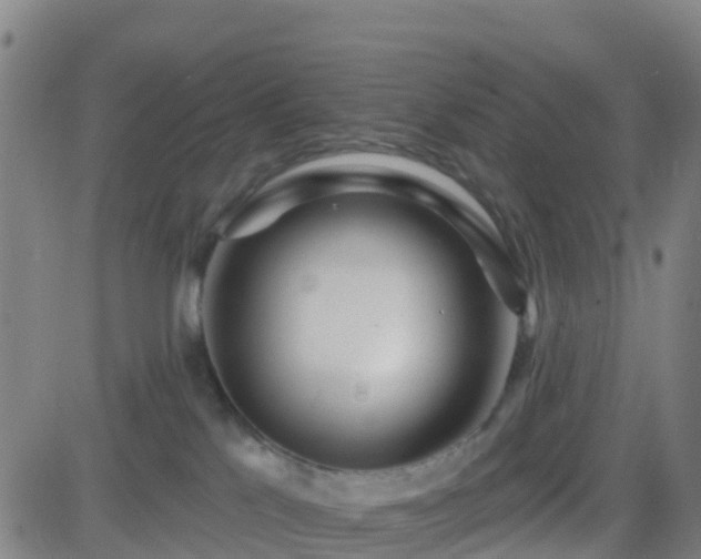 X0000082760041200702021446