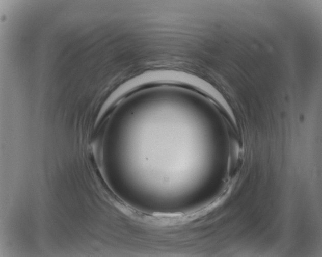 X0000082760045200702021446