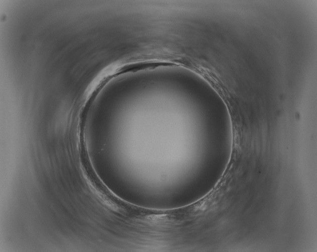 X0000082760054200702021446