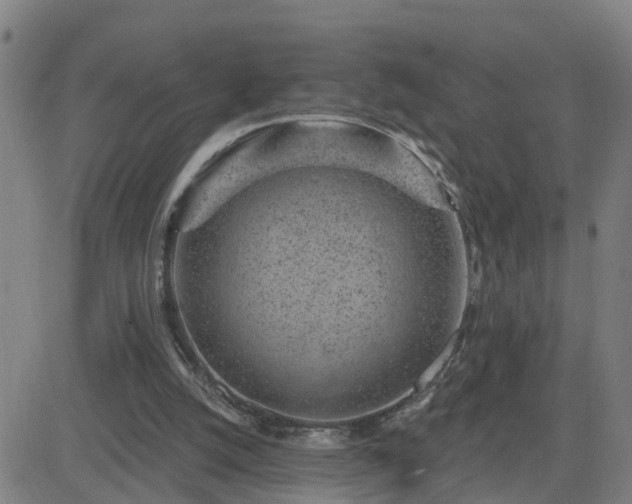 X0000082760056200702021446