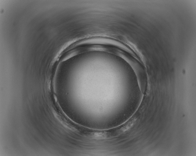 X0000082760060200702021446