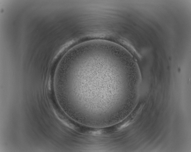 X0000082760068200702021446