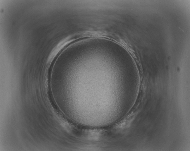 X0000082760103200702021445