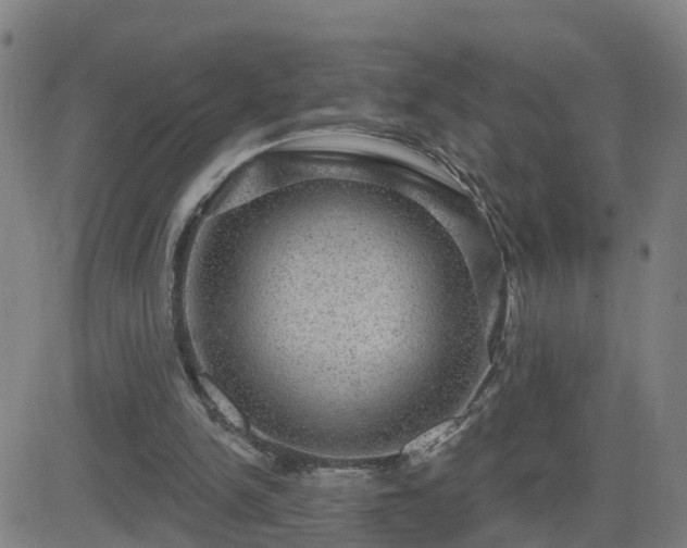X0000082760150200702021444