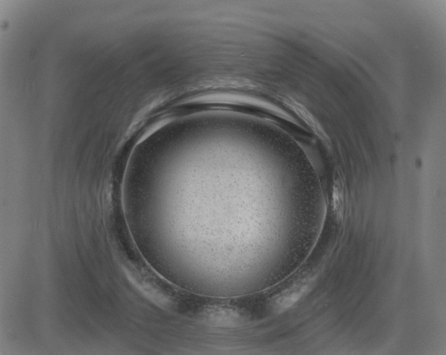 X0000082760207200702021444
