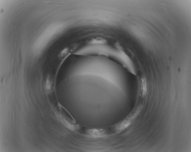 X0000082760239200702021443