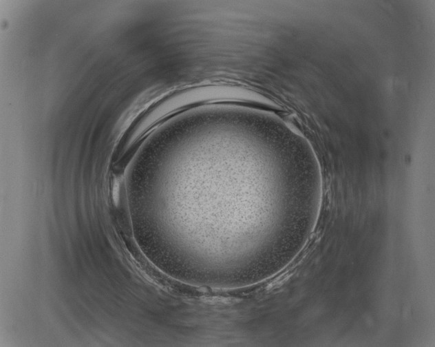 X0000082760242200702021442