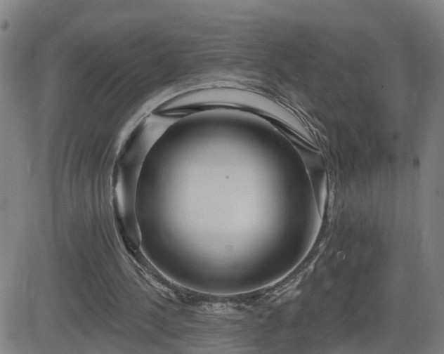 X0000082760244200702021442