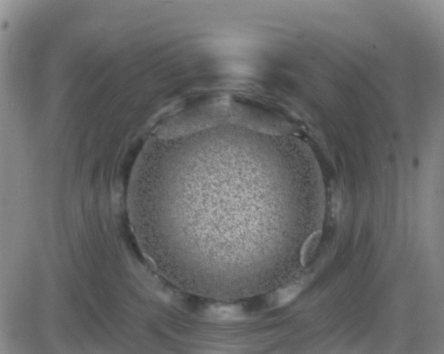 X0000082760283200702021443