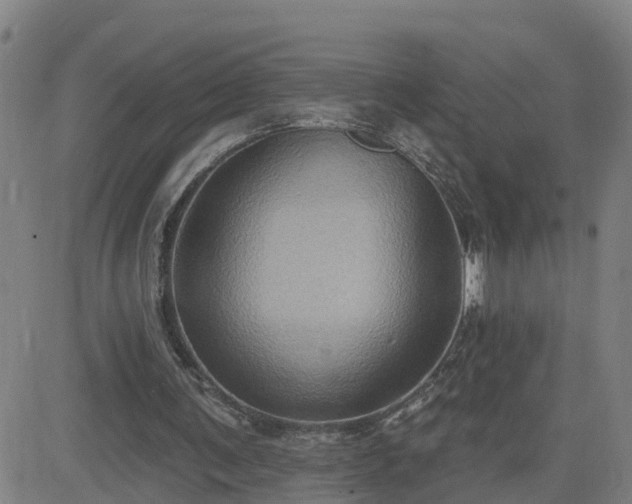 X0000082760291200702021442