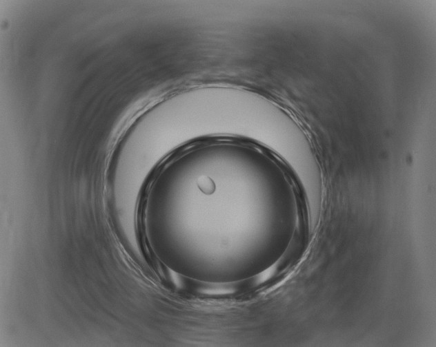 X0000082760293200702021442
