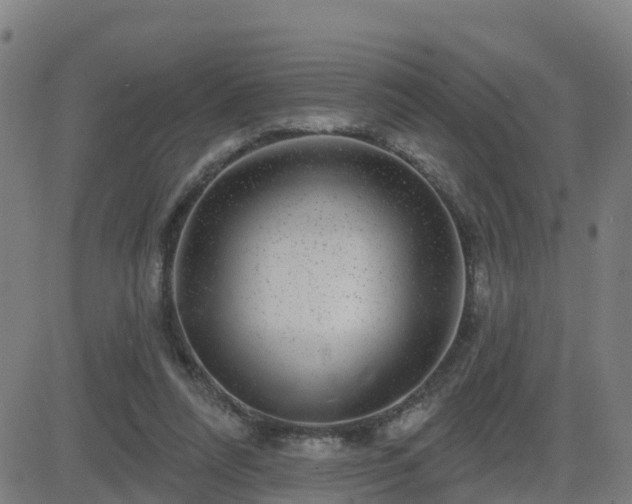 X0000082760304200702021442
