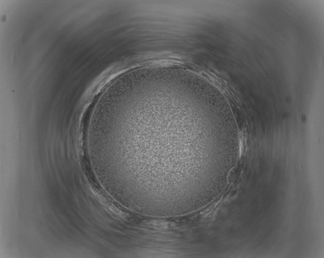 X0000082760339200702021441