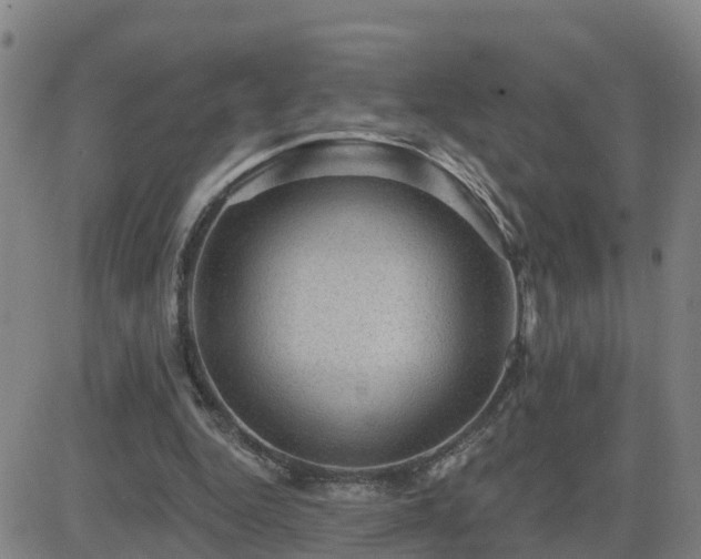 X0000082760344200702021441