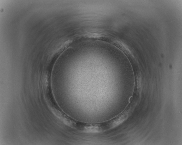 X0000082760362200702021441