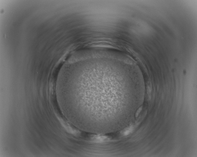 X0000082760379200702021441