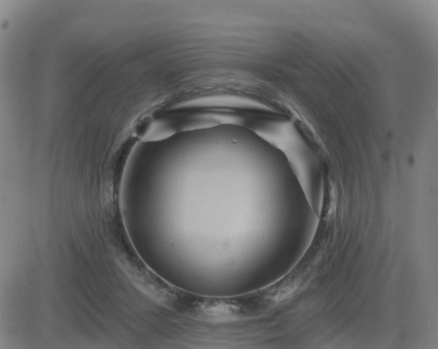 X0000082760407200702021440