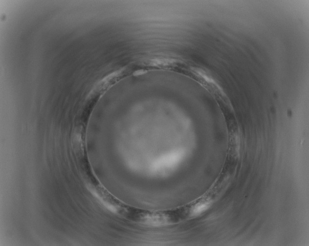 X0000082760415200702021440