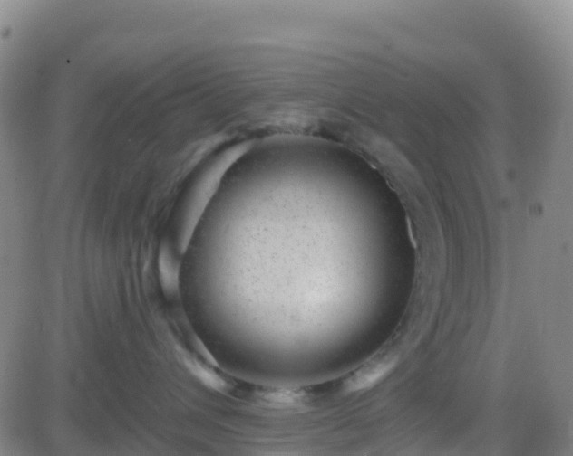 X0000082760432200702021440