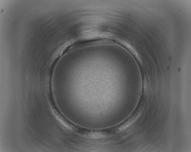 X0000082760445200702021439
