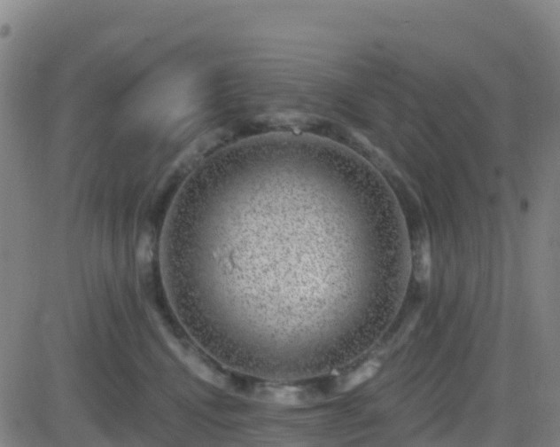 X0000082760472200702021440