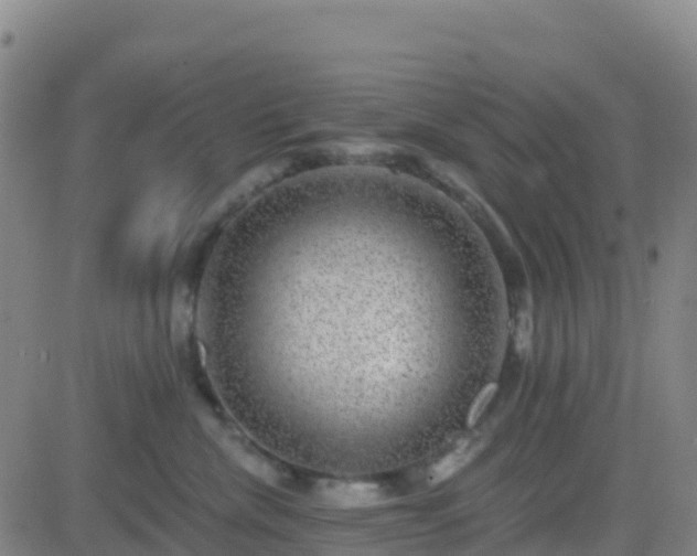 X0000082760476200702021440